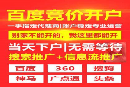 某电商平台SEM竞价广告的转化率提升案例